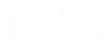 SP Surf Coach
